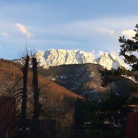 Dom Wypoczynkowy Jadzia Zakopane Ngoại thất bức ảnh