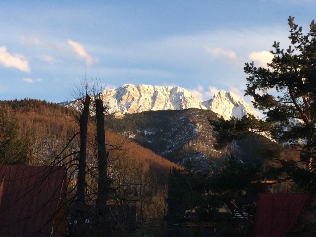 Dom Wypoczynkowy Jadzia Zakopane Ngoại thất bức ảnh