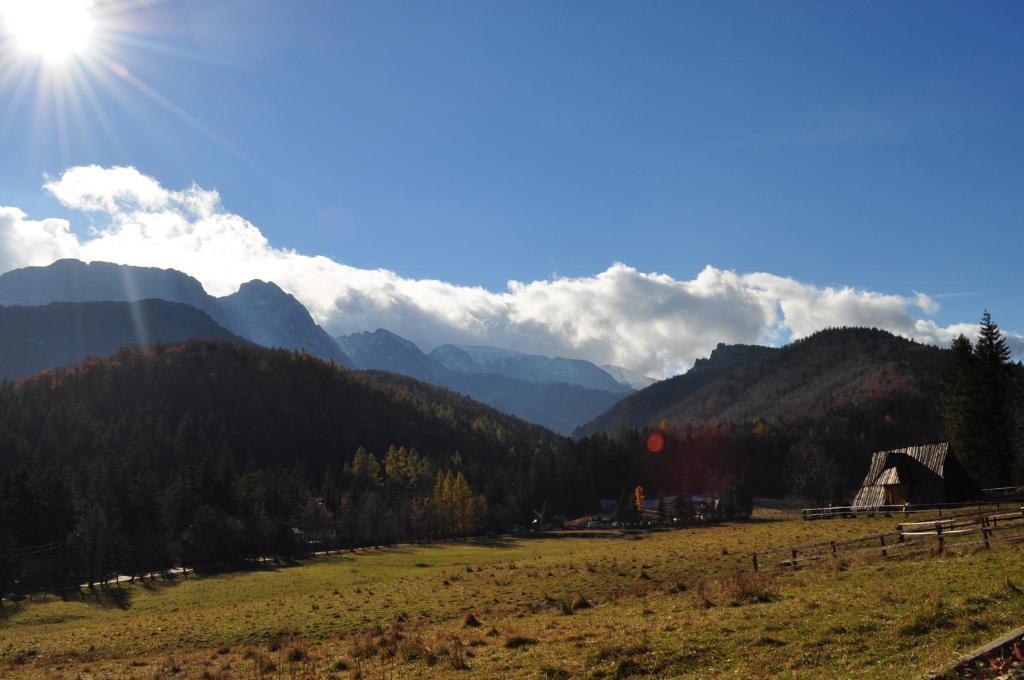 Dom Wypoczynkowy Jadzia Zakopane Ngoại thất bức ảnh